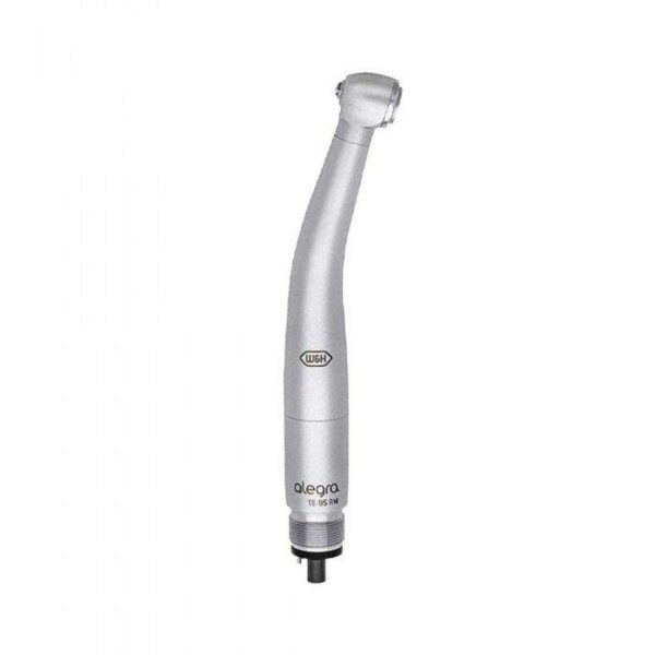 Turbina Alegra TE-95 RM W&H