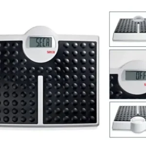 Balanza Digital con Plataforma Amplia SECA 813