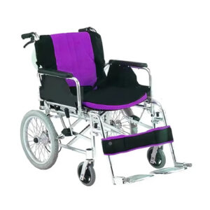 Silla de Rueda Geriátrica de Paseo (Por Unidad)