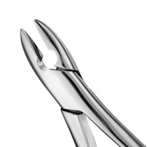 Forcep #1 Recto Anterior Grueso Superior