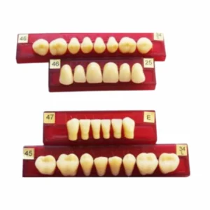 Diente Marche Posterior Inferior Color 50