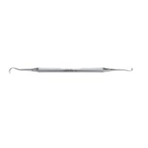 Scaler Jackette Univ. Sabri