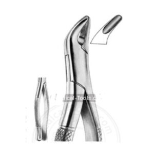 Forcep #62 Premolares