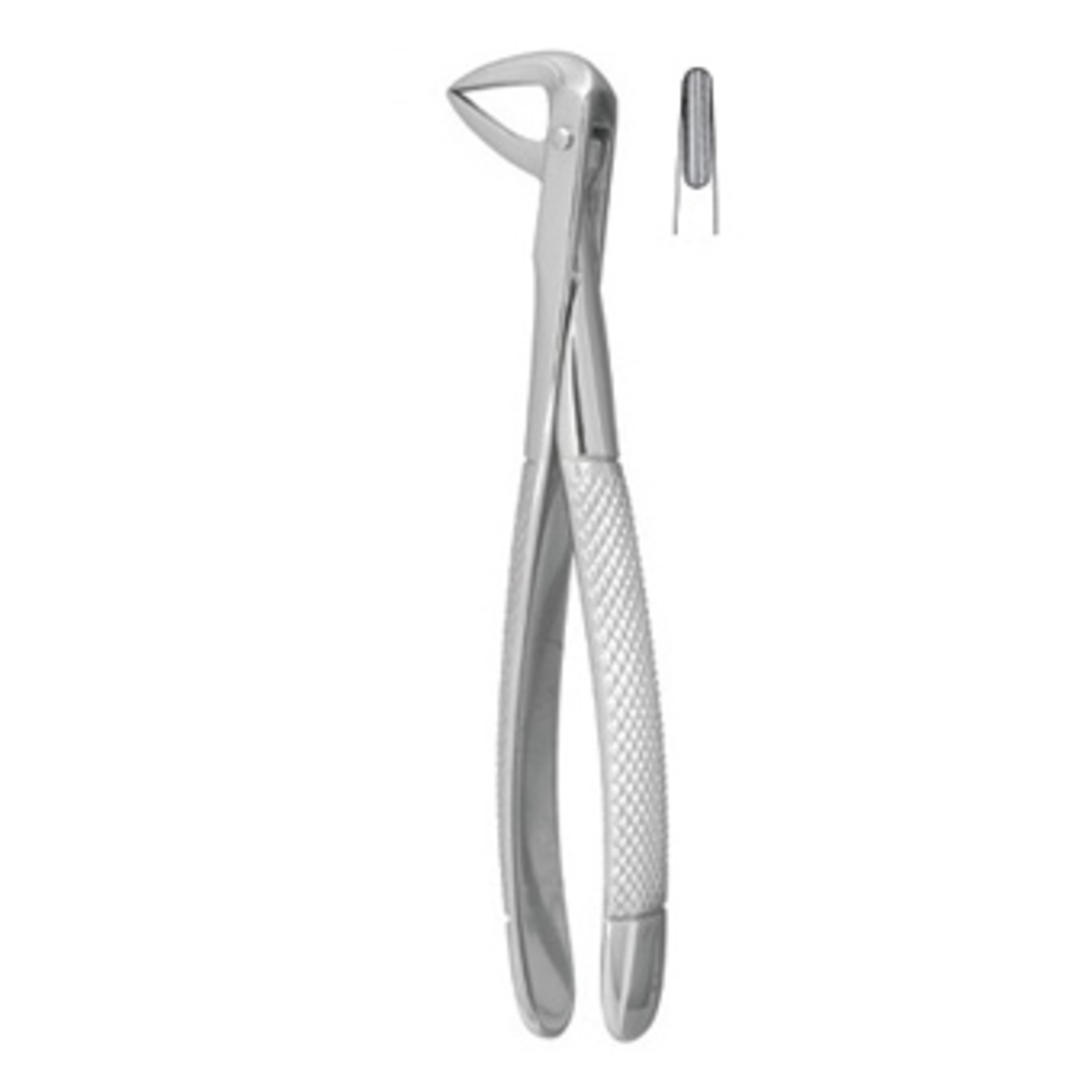Forcep #74