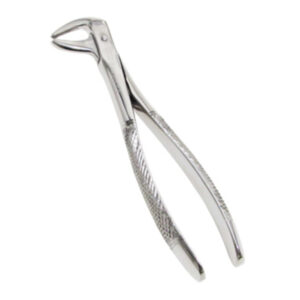 Forcep #75 Curvo s/Borde Fino Premolar