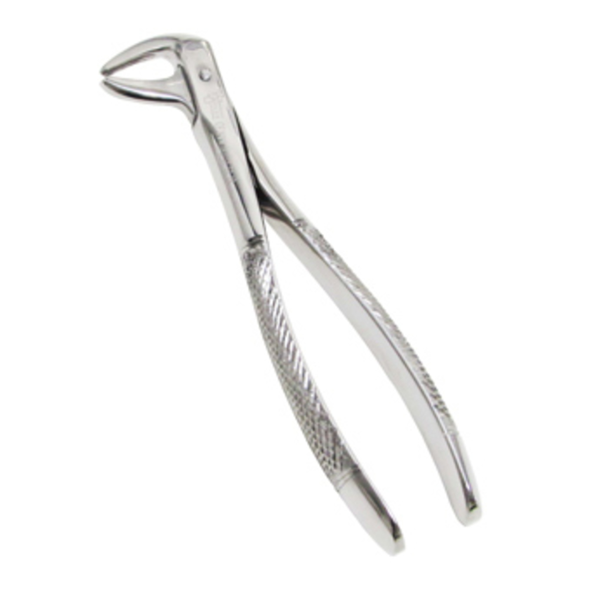 Forcep #75 Curvo s/Borde Fino Premolar
