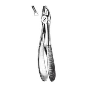 Forcep Niño #561 Ingles