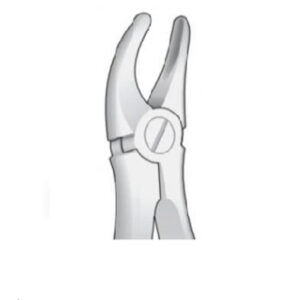 Forcep #18B Inglés Universal Grueso s/Espolón