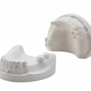 Modelo Yeso Ideal Dentado Semi-Completo Par