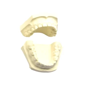 Modelo Yeso Ideal Dentado Infantil Par