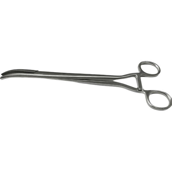Pinza Faure 25cm